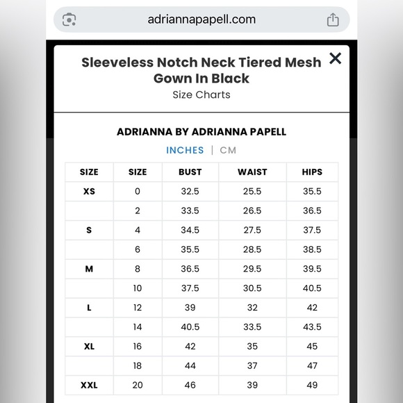 Adrianna Papell | Sleeveless Notch Neck | Tiered Mesh Gown In Black | Size 2 - Picture 7 of 7